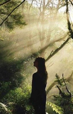 Разные, но похожи