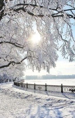 Зимнее утро 