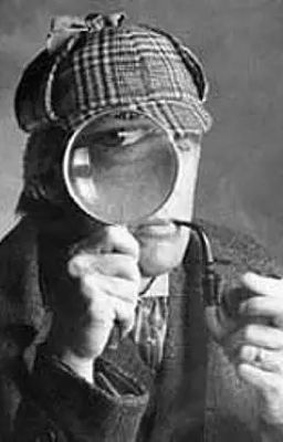 Дело расследует Петров