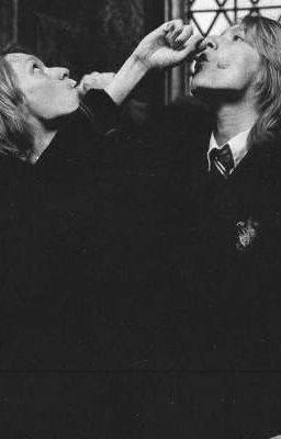 Фред почему я?