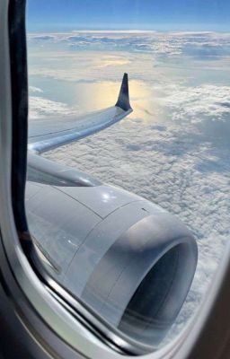 Тёмный друг 