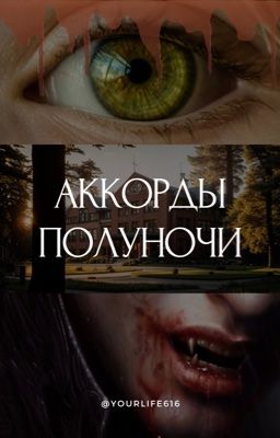 Аккорды полуночи | 18+