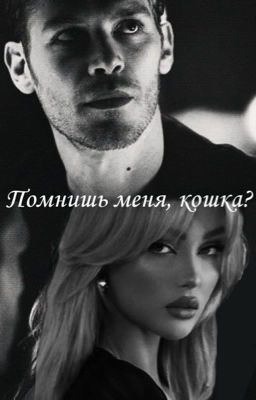 Помнишь меня, кошка?//Никлаус Майклсон