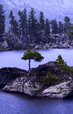 Остров встреч