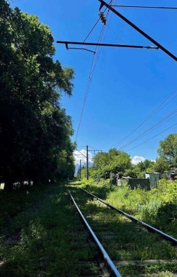 моя Новая Жизнь...