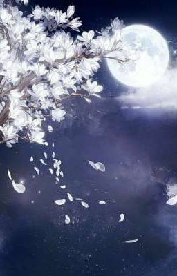 Мой белый лунный свет.