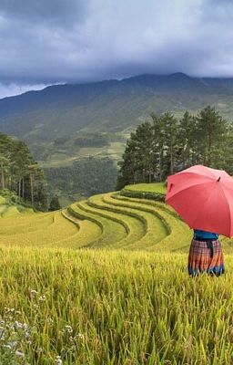 Письма из вселенных