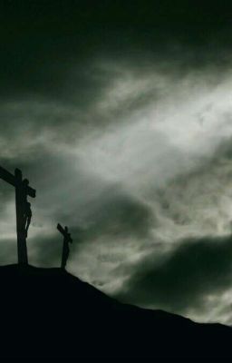 Я Принимал Иллюзию За Реальность