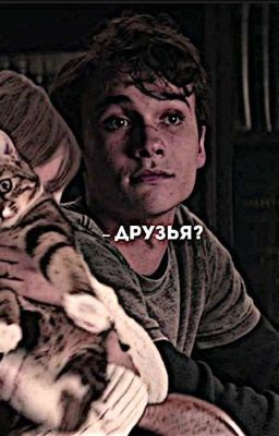 Друзья? 