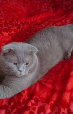 1488 пасхолочка