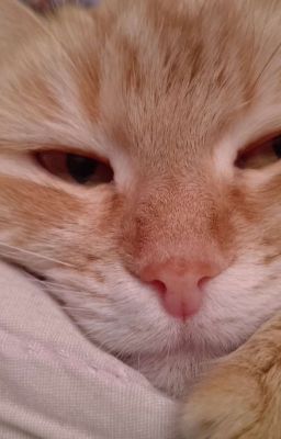 Малышка В SKZOO? 