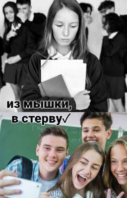 Из мышки, в стерву🍀