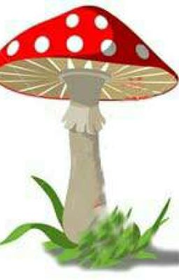 Мистерии  мухомора