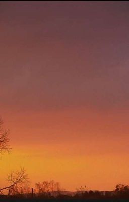 Это были не конфеты..... 