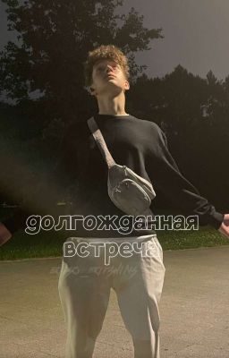 Долгожданная встреча 