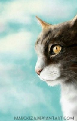 Коты Воители: Выжить В Огне.