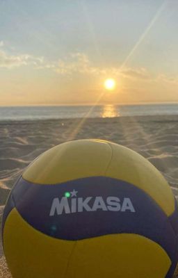 волейбольный мяч  🏐