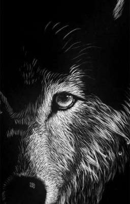 Оборотни и 4 стихии