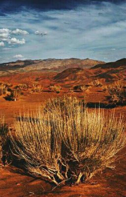 учитель в бегах