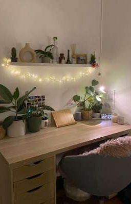 высокий рейтинг 