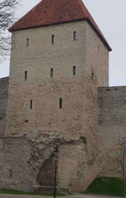 История Вампиров 