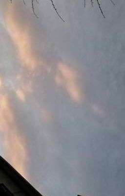 правда? правда