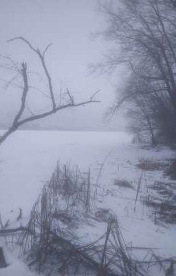 Краткий рассказ "Дурачок" (по мотивам песни Егора Летова - про дурачка)