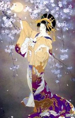 Желтые одежды