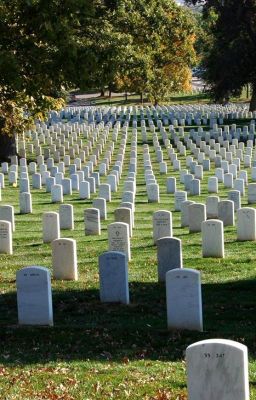 В пути через кладбище