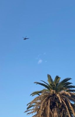 В память о жизни