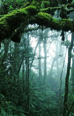 Тайны Африки