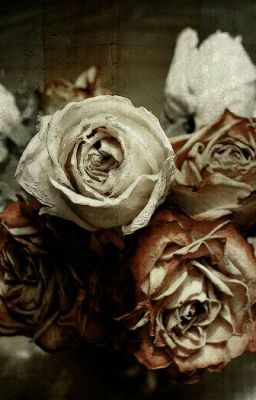 История одной полукровки