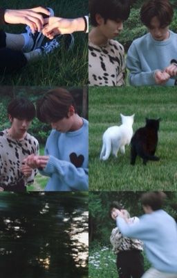 Я узнаю кто ты Ли Минхо..(минсоны)