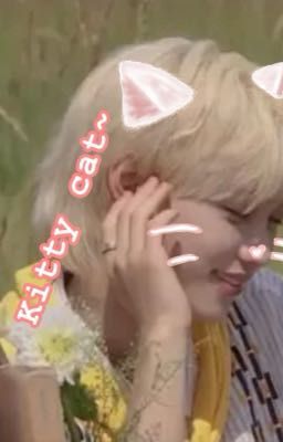 Kitty cat~