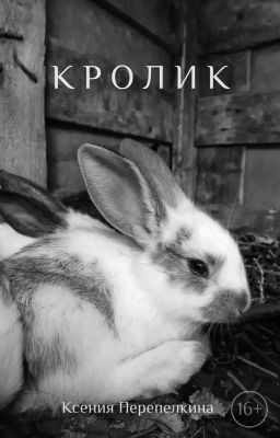 Кролик
