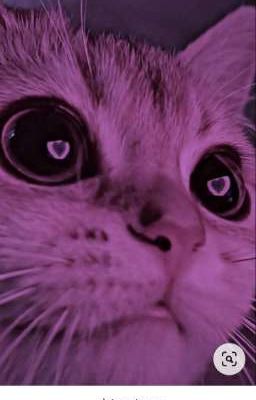 приключения   Ксюши и Ярика