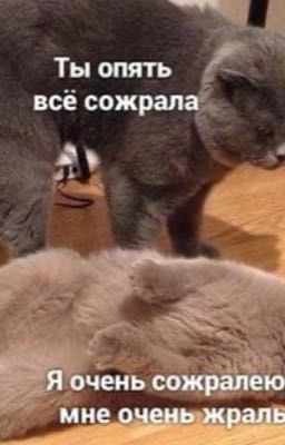 Сборник коротких анекдотов 