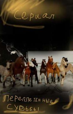 Переплетённые судьбы