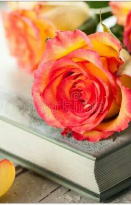 жить и не забывать 