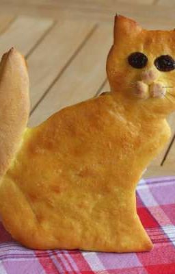 Чебуречные Коты: Вся Правда