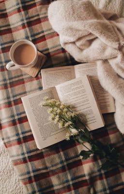 Подборки книг 📚