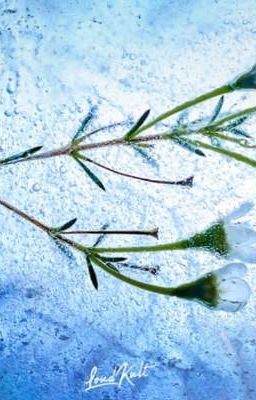 кто вчера стучался в дверь? 