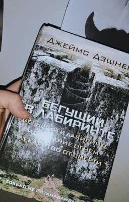 Бегущий в лабиринте