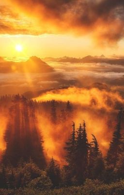 Небольшой сборник моих стихов.