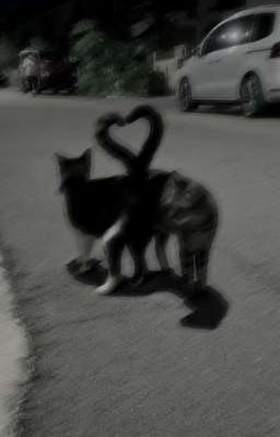 Приключения с компанией пацанов...❤️‍🩹