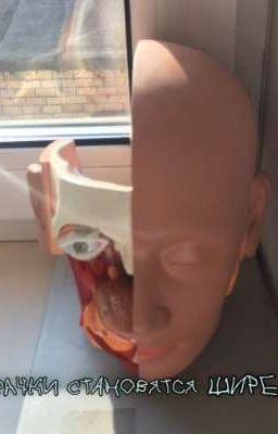 Зрачки становятся шире