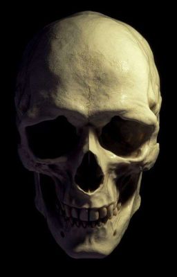 Жажда любви 