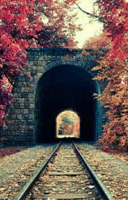 Моя жизнь!!!