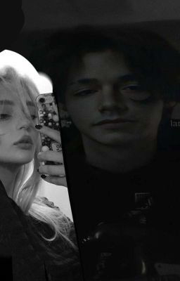 элитноя шокла