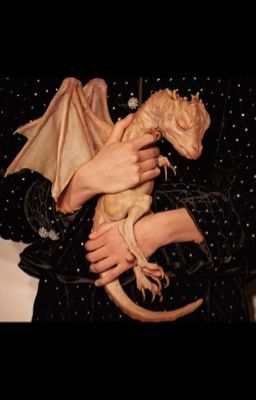 mystery in nice pt.1 (cd/ng)